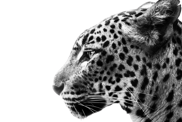 Booster sa visibilité, méthode de Boost Communication à Béziers